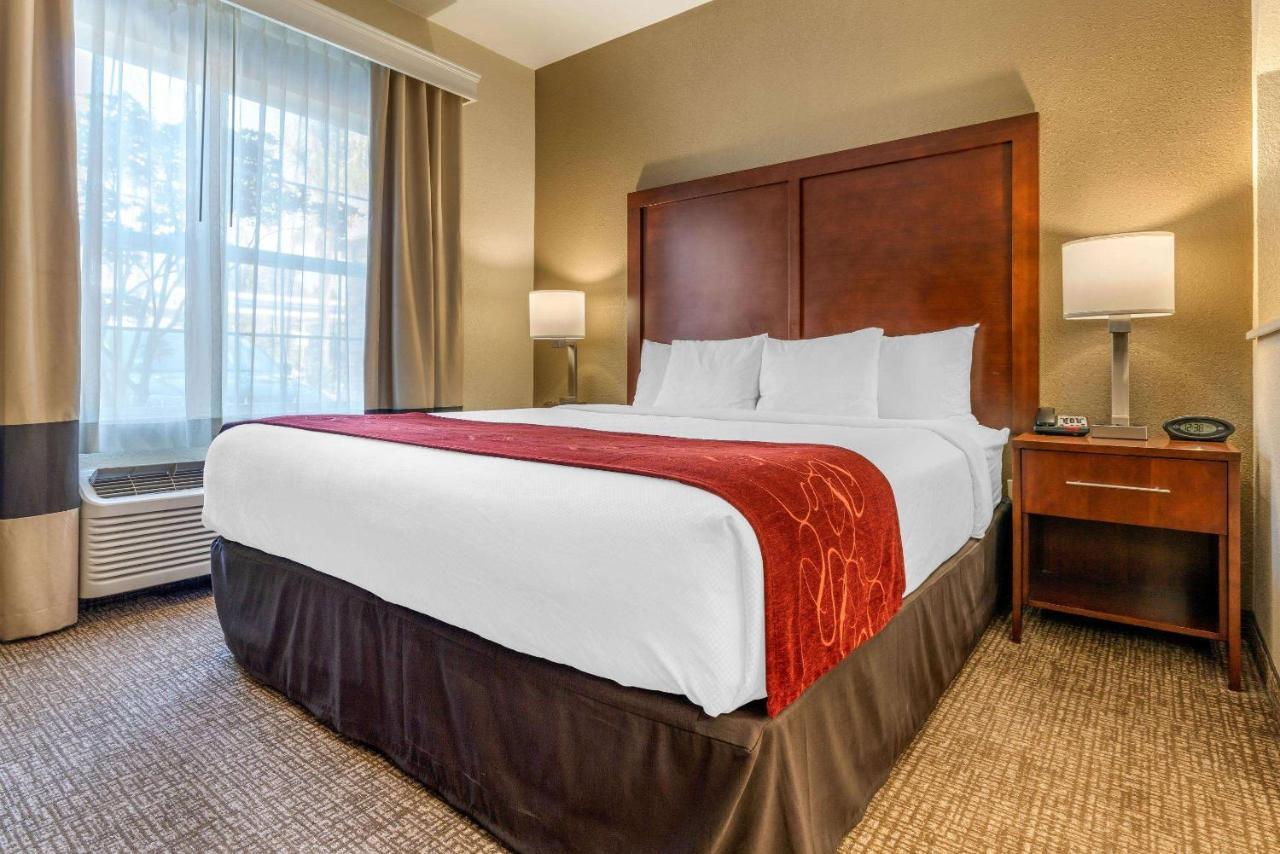 Comfort Suites Downtown סקרמנטו מראה חיצוני תמונה